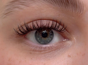 GirlGotLashes Lily Blossom - Pre glued Lashes