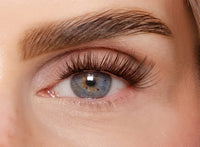 Soft Brown Edition – Classic DIY