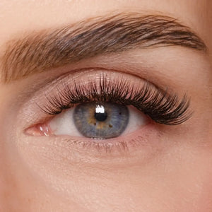 Tall Babes 12-16mm