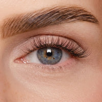 DIY Wimpernsegmente – Volume 2 (Pre-Glued 2.0)