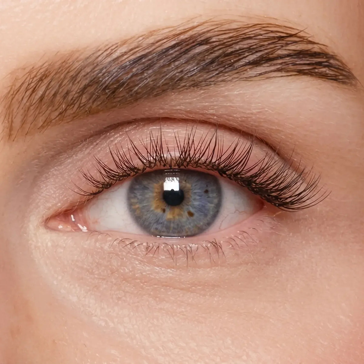 DIY Wimpernsegmente – Volume 2 (Pre-Glued 2.0)