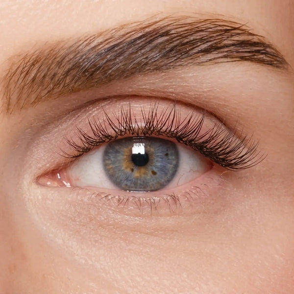 DIY Wimpernsegmente – Volume 2 (Pre-Glued 2.0)